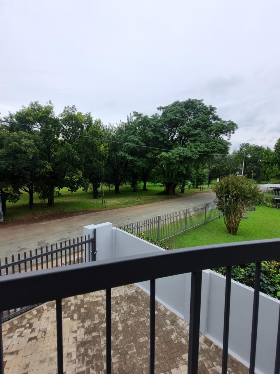 Lake view