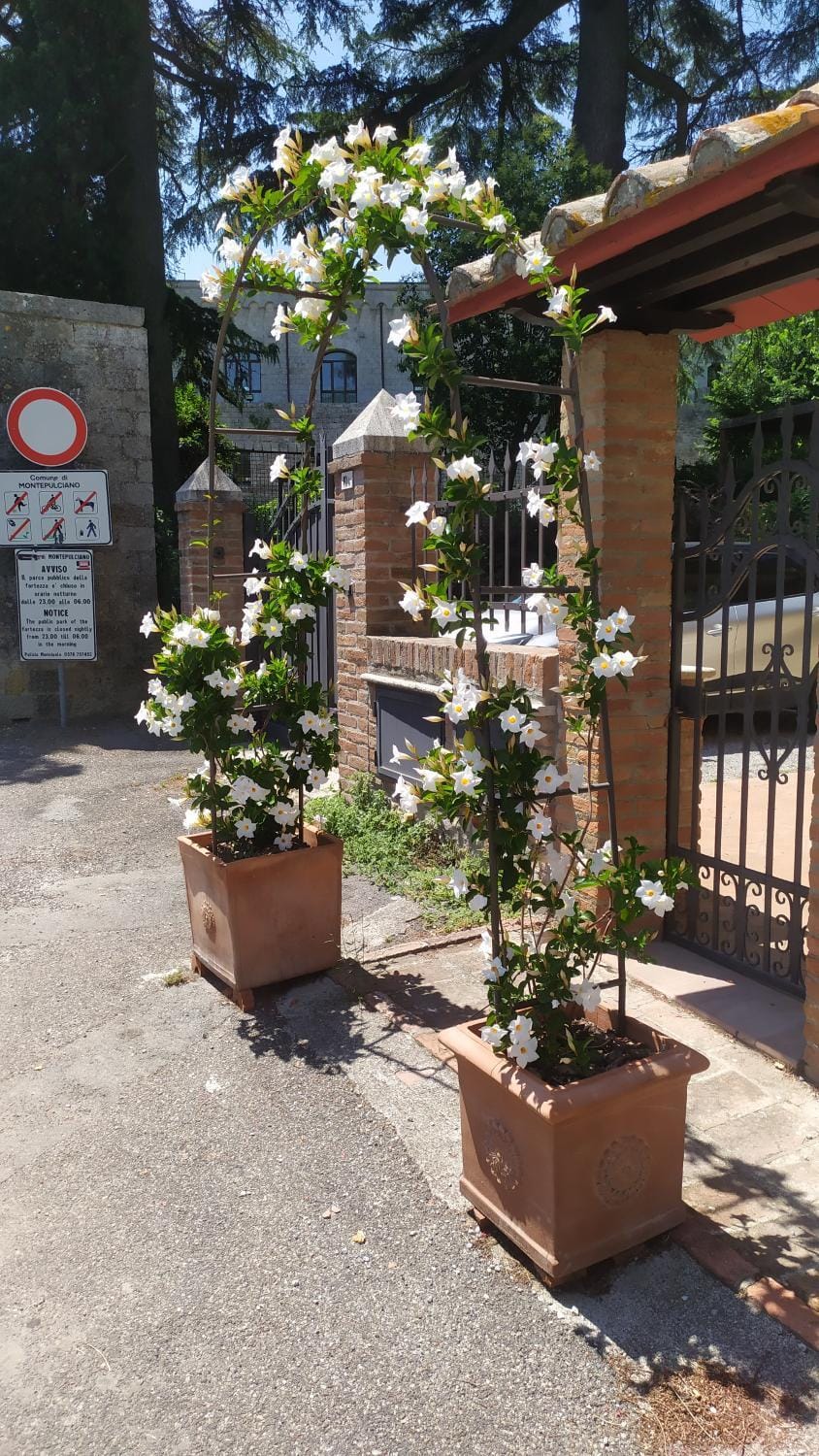 Il Giardino della Fortezza Apartment in Montepulciano