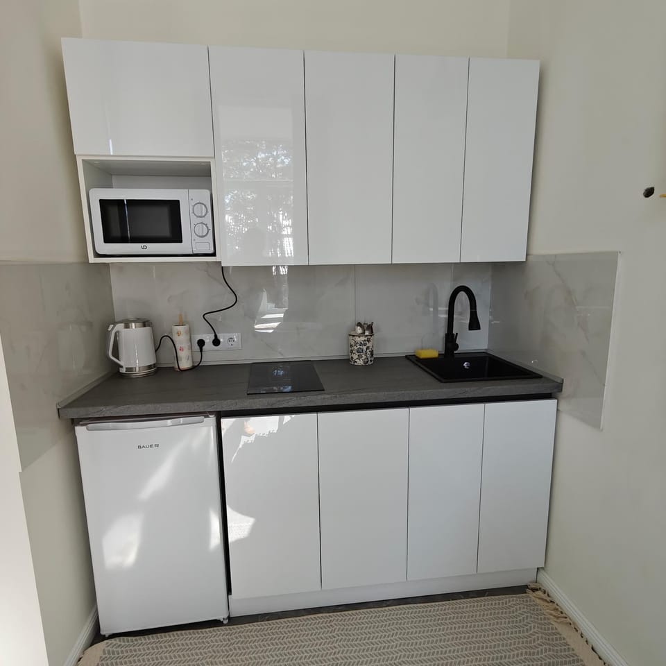 Coffee/tea facilities, Kitchen or kitchenette, minibar, stove