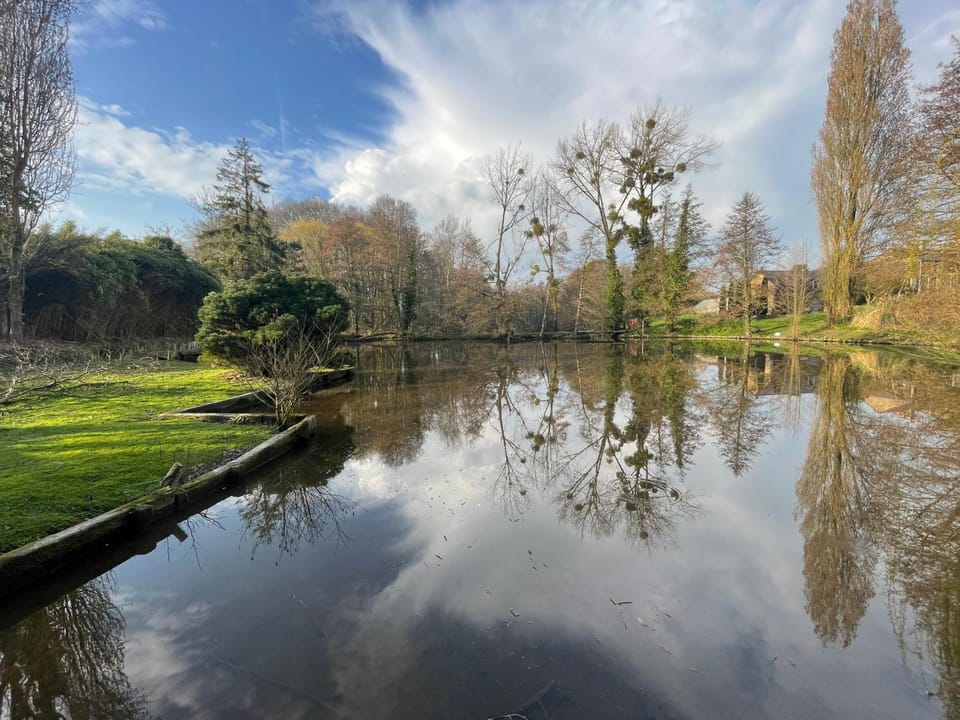 Lake view
