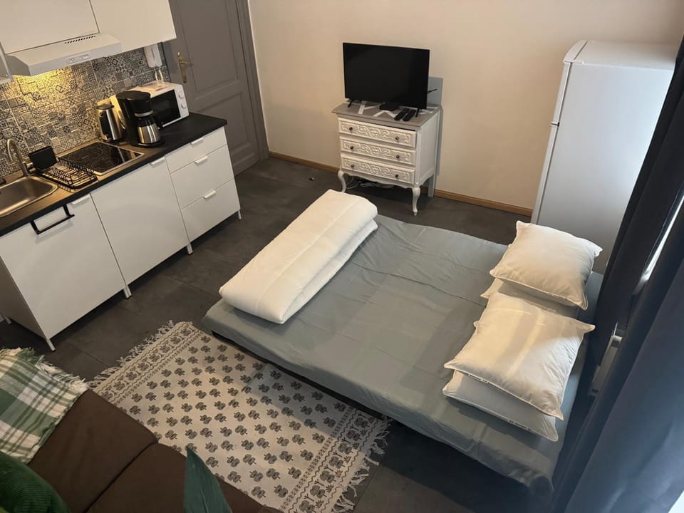 Bed, TV and multimedia, Kitchen or kitchenette, Photo of the whole room, stove