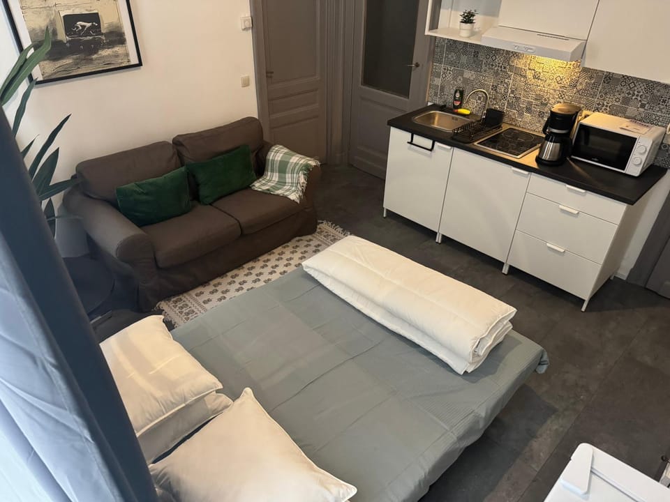 Bed, Kitchen or kitchenette, Living room, stove