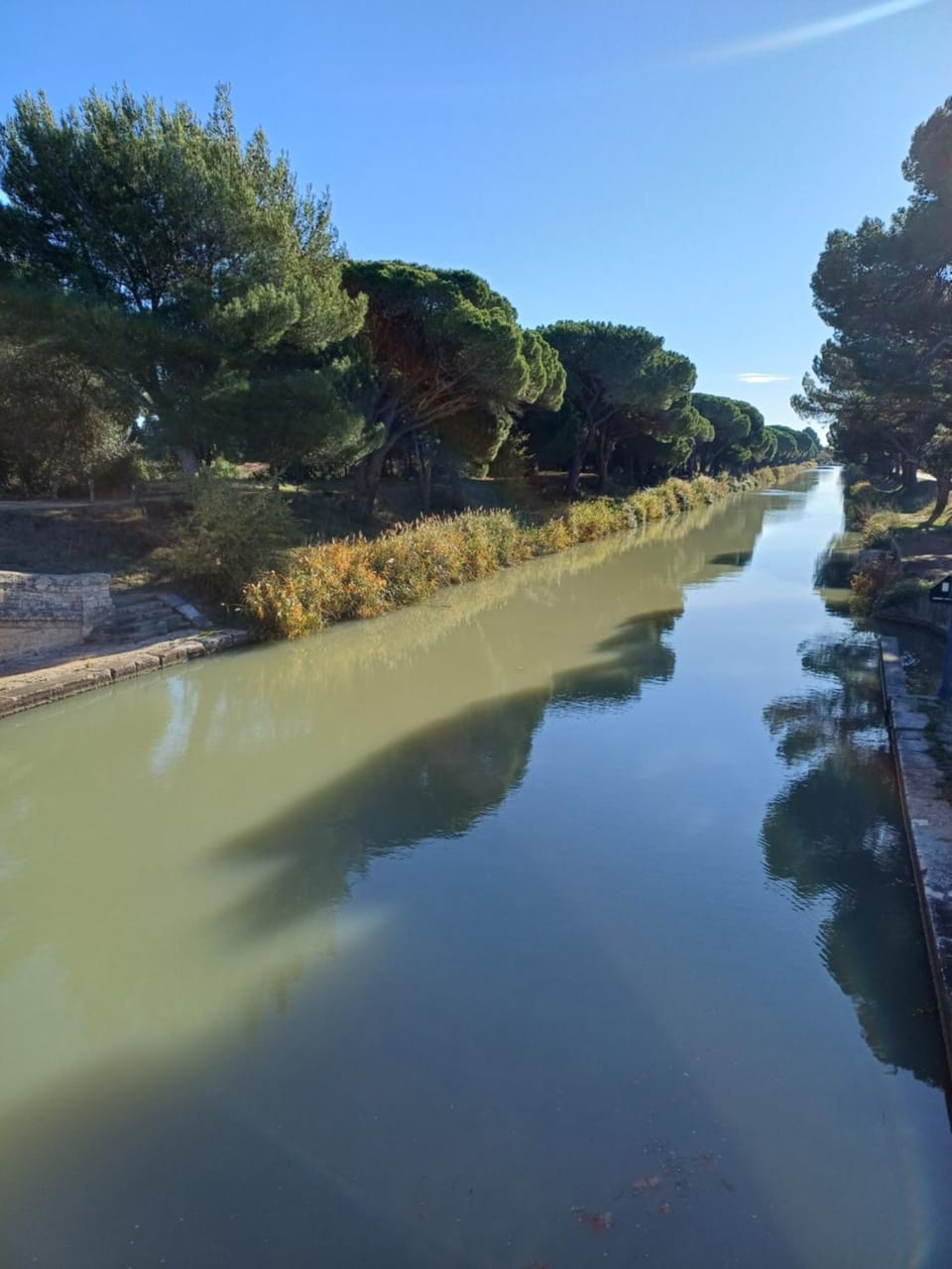 Natural landscape