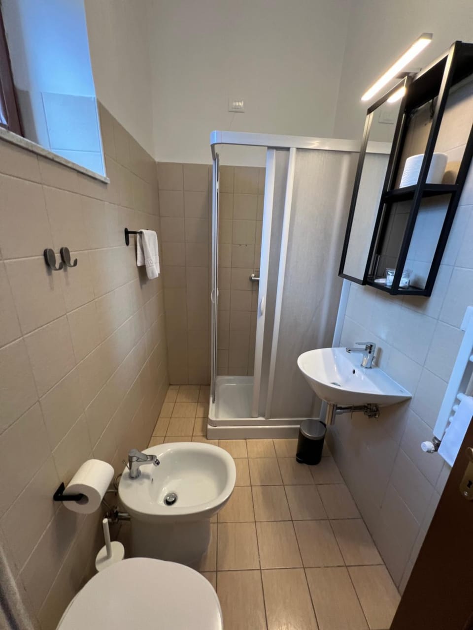 Shower, Toilet, bidet, towels