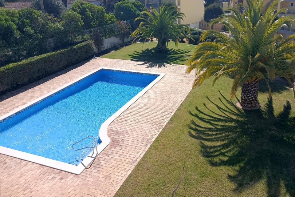 Garden, Garden view, Pool view, Swimming pool, sunbed