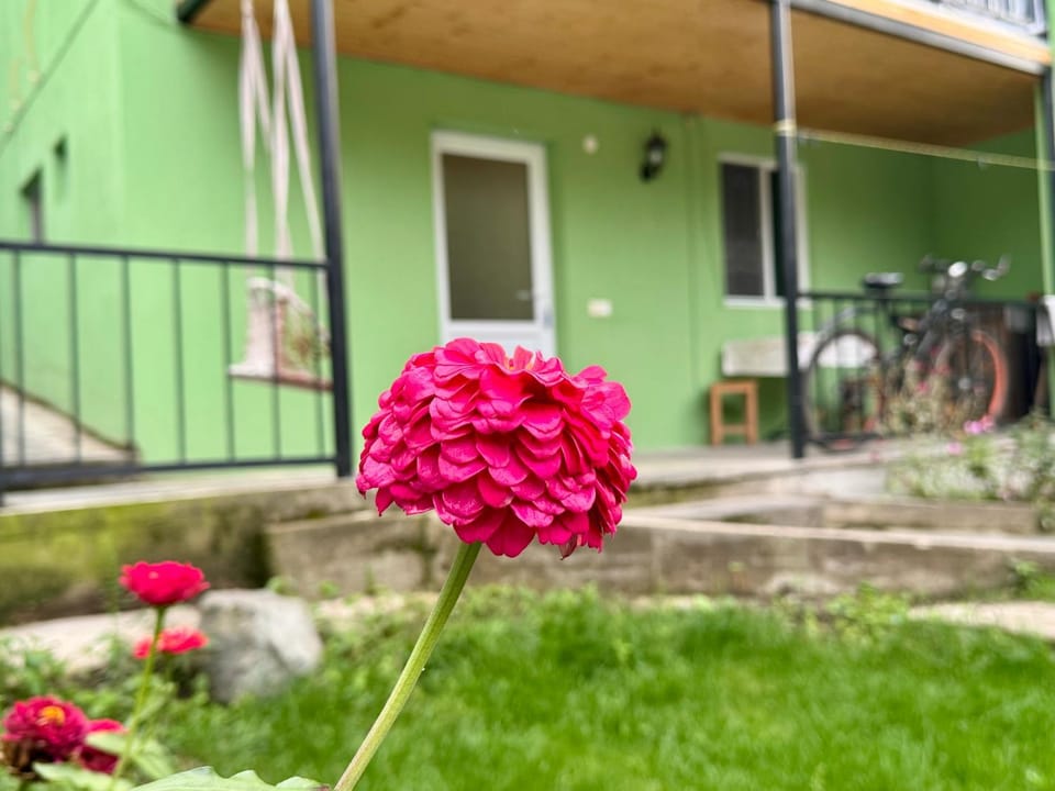 Property building, Spring, Day, Garden, Cycling, Garden view