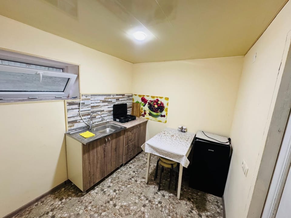 Kitchen or kitchenette, minibar, oven, pet friendly, stove