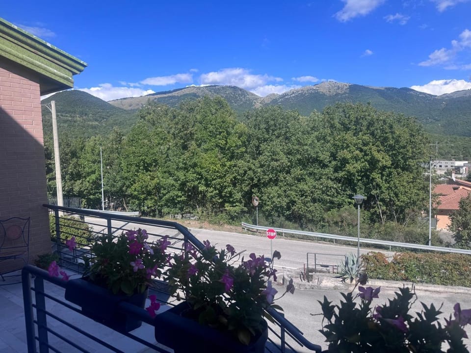 Mountain view