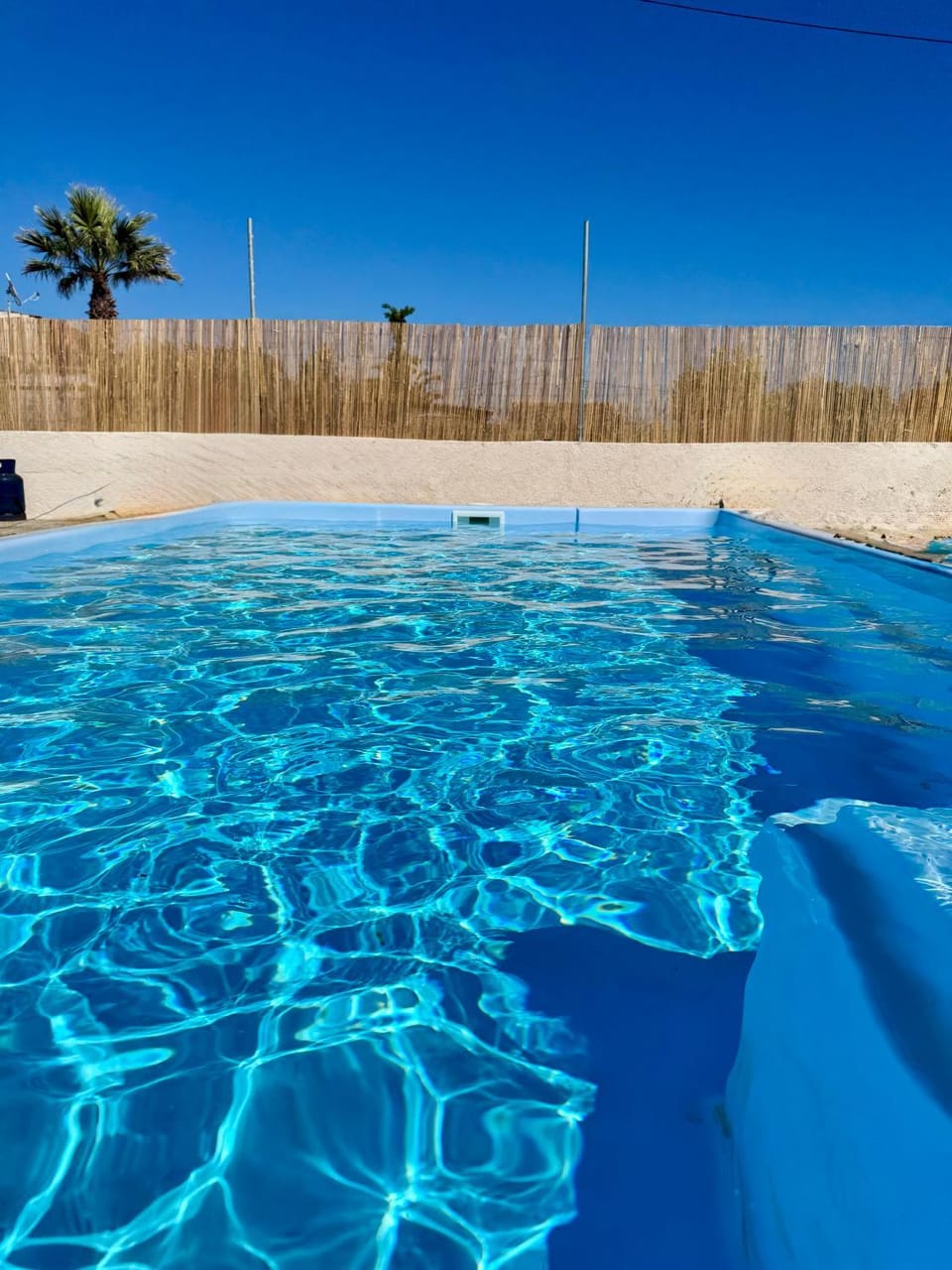 Day, Pool view, Swimming pool