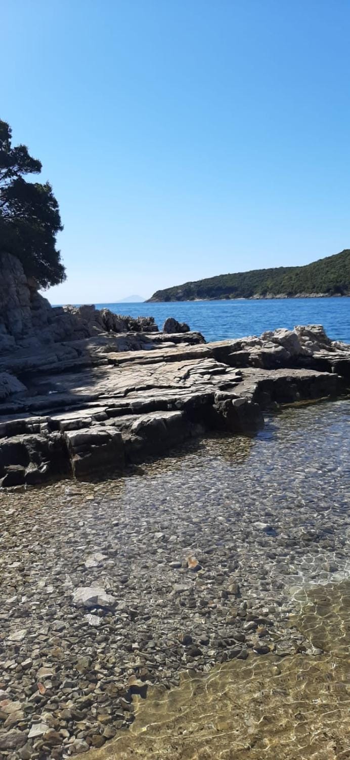 Appartment Plaza Apartment in Istria County