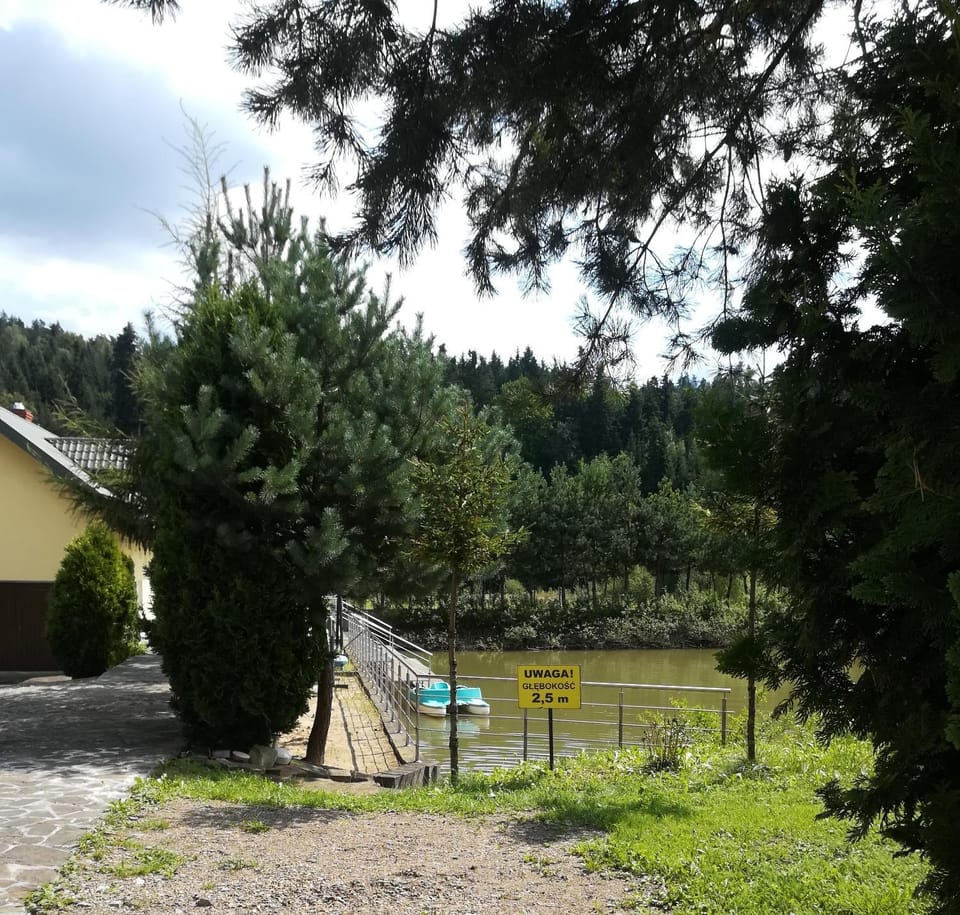 Natural landscape, Garden view