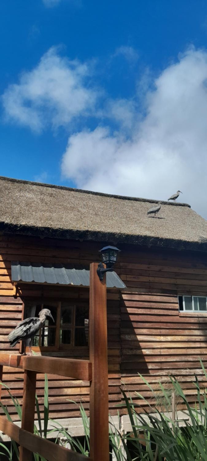A rustic-style cabin on the wetland Cabin in Maldonado Department, Uruguay