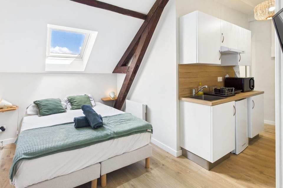 Les Troyes Rois Apartment in Troyes