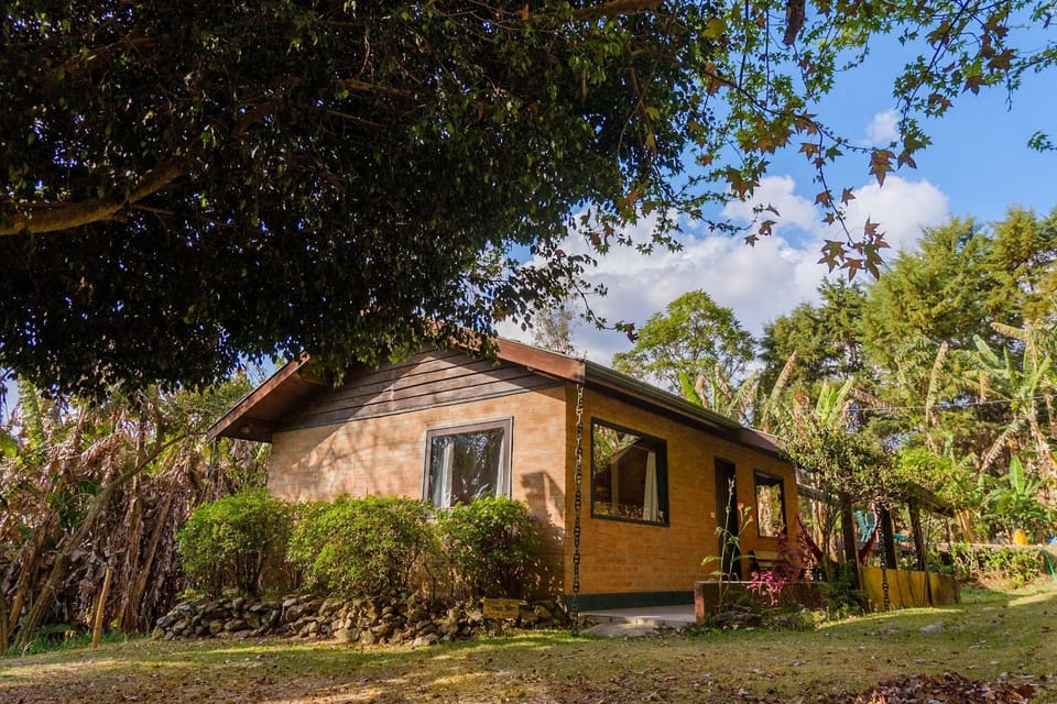 Cabana Catuaí - com piscina privativa House in State of São Paulo