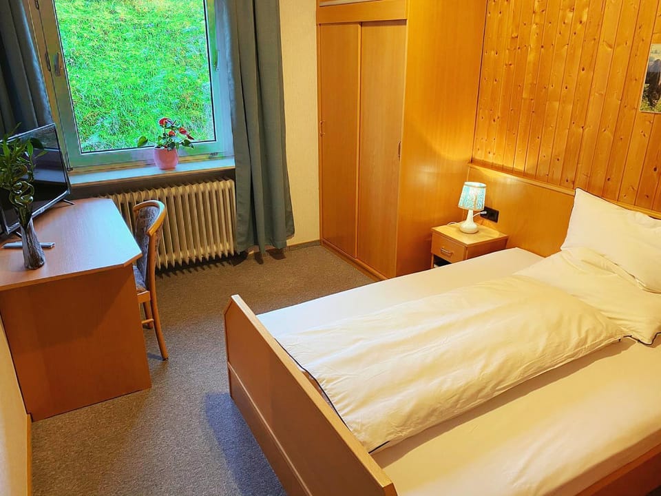 Zum Goldenen Löwen Hotel in Hesse
