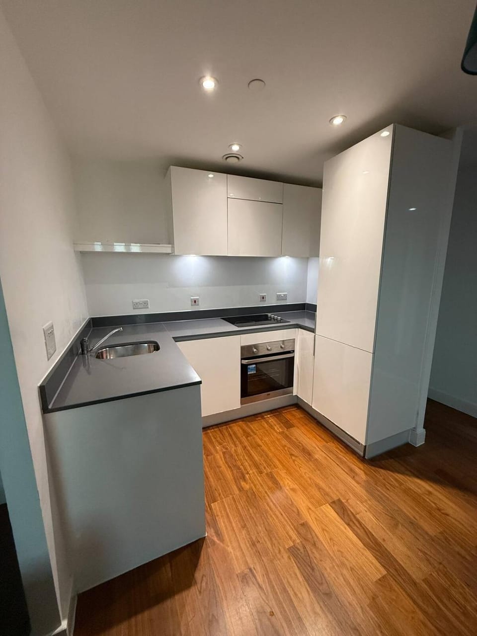 Kitchen or kitchenette, dishwasher, stove
