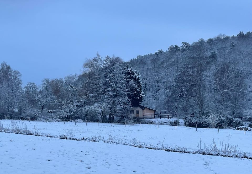 Natural landscape, Winter