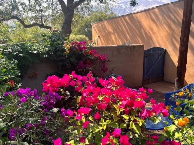 Heidi's Artistic Abode House in Three Rivers