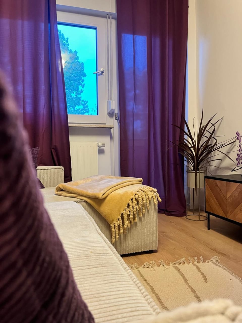 Bed, Living room, Photo of the whole room, Seating area, internet