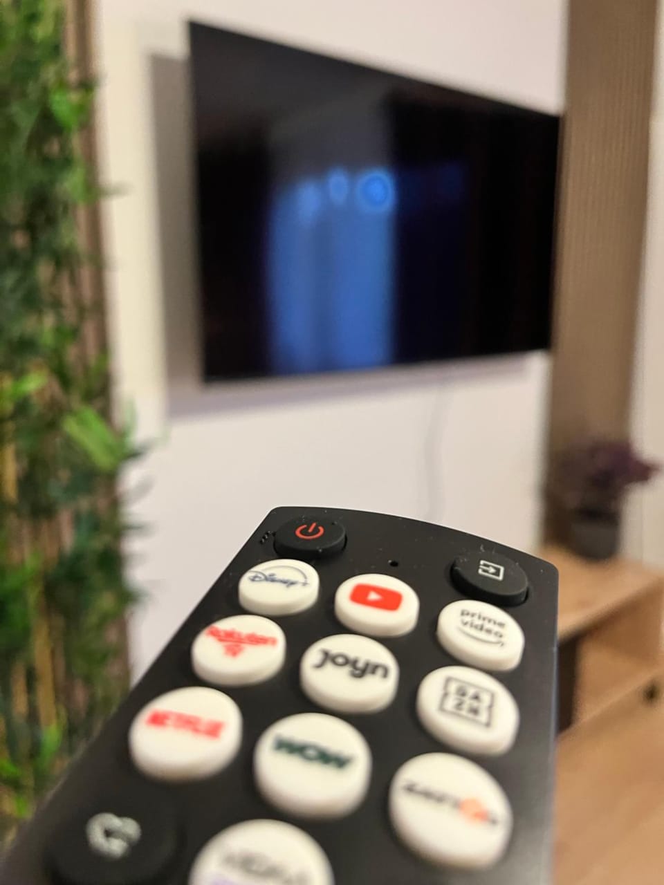 TV and multimedia
