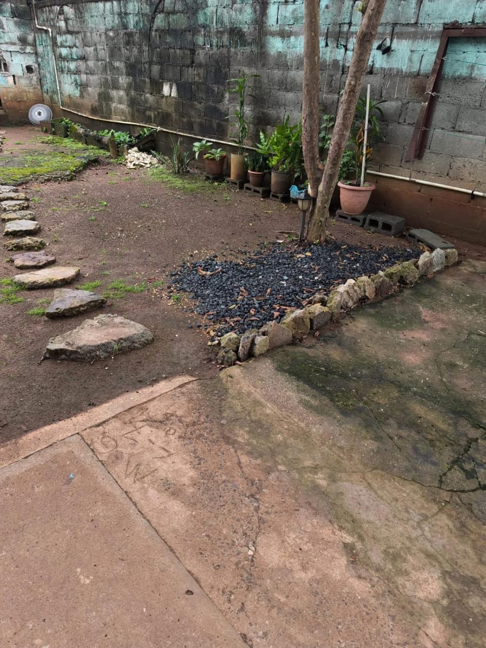 Garden view
