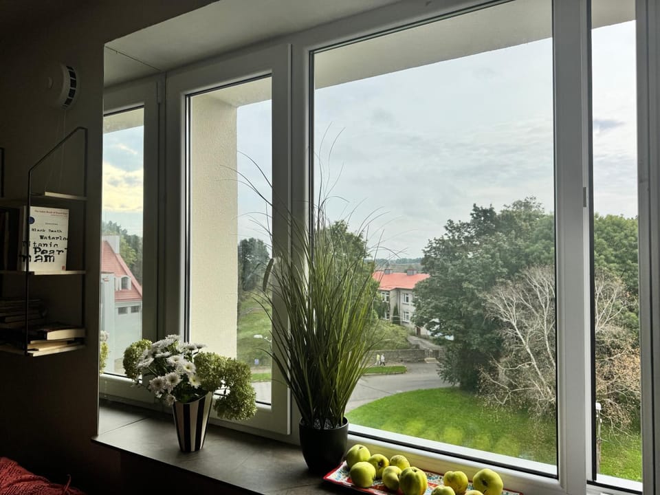 Day, Garden view