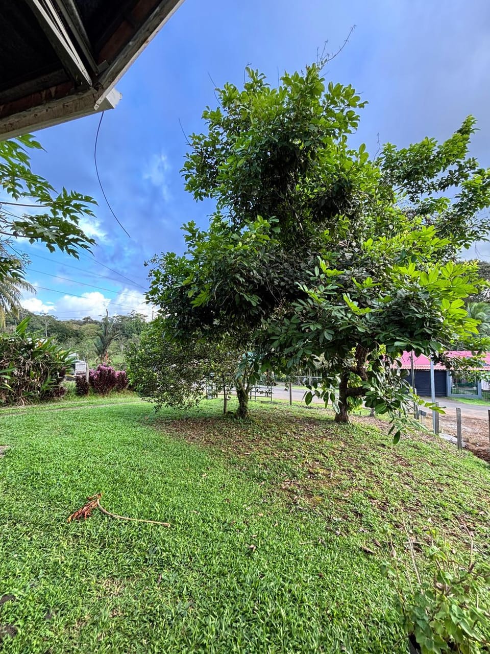 Garden, Garden