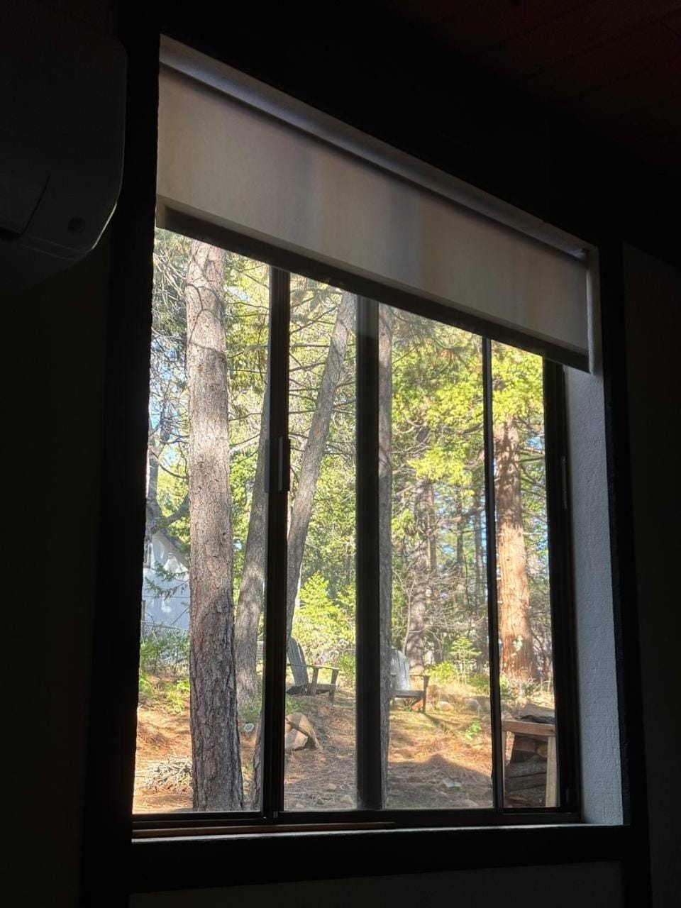 Spring, Day, Natural landscape, Garden, Garden view