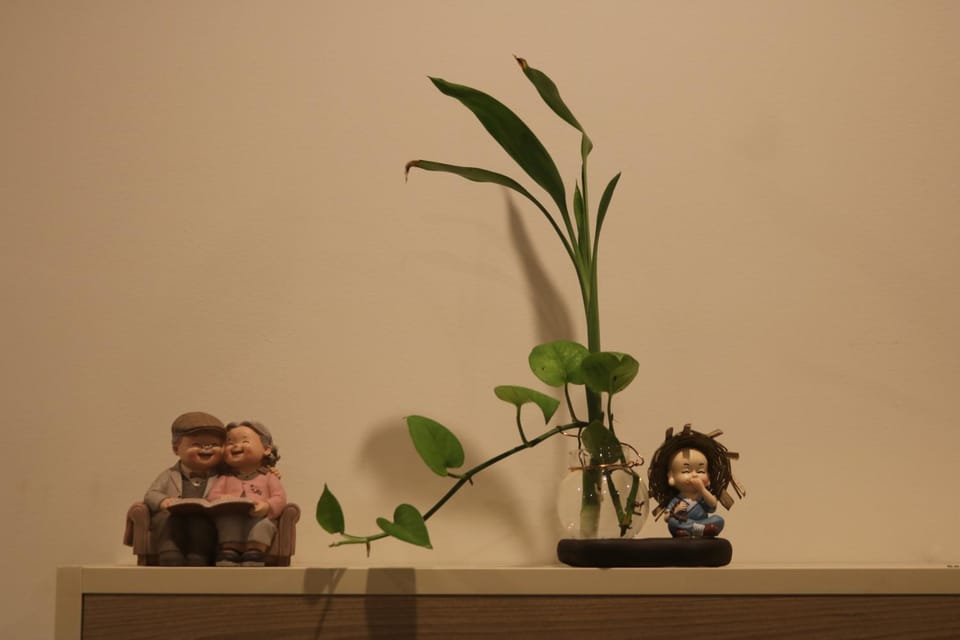 Chi Pi Homestay Apartment in Vietnam