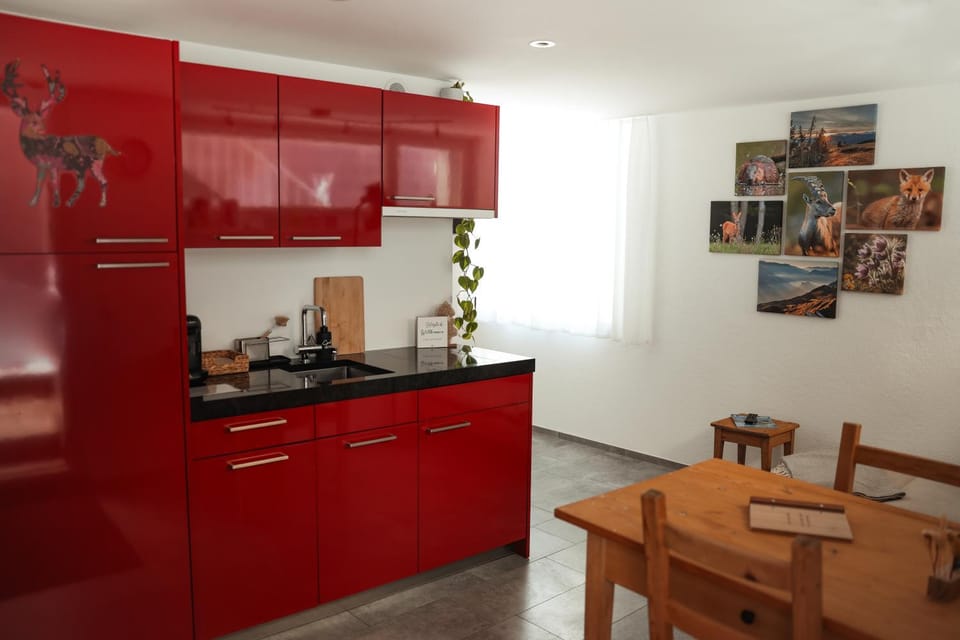 Kitchen or kitchenette, Living room, Dining area, Food, stove, kitchen, Internal: Not applicable to any particular room