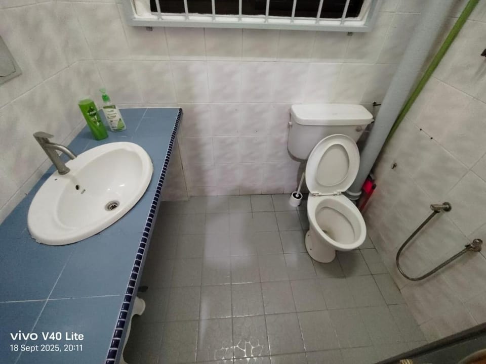 Shower, Toilet, Bathroom, bidet