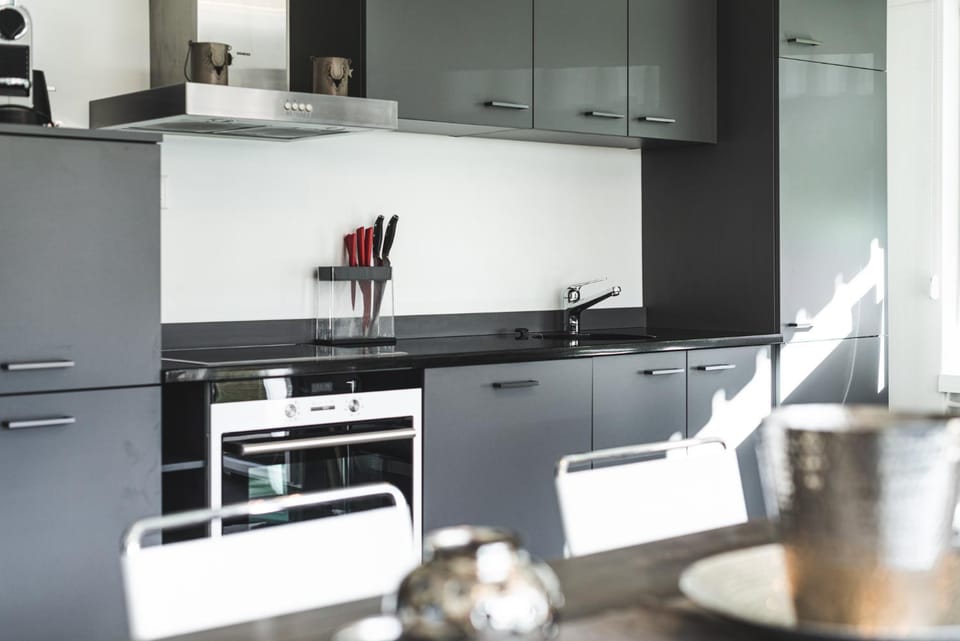 Kitchen or kitchenette, dishwasher, stove