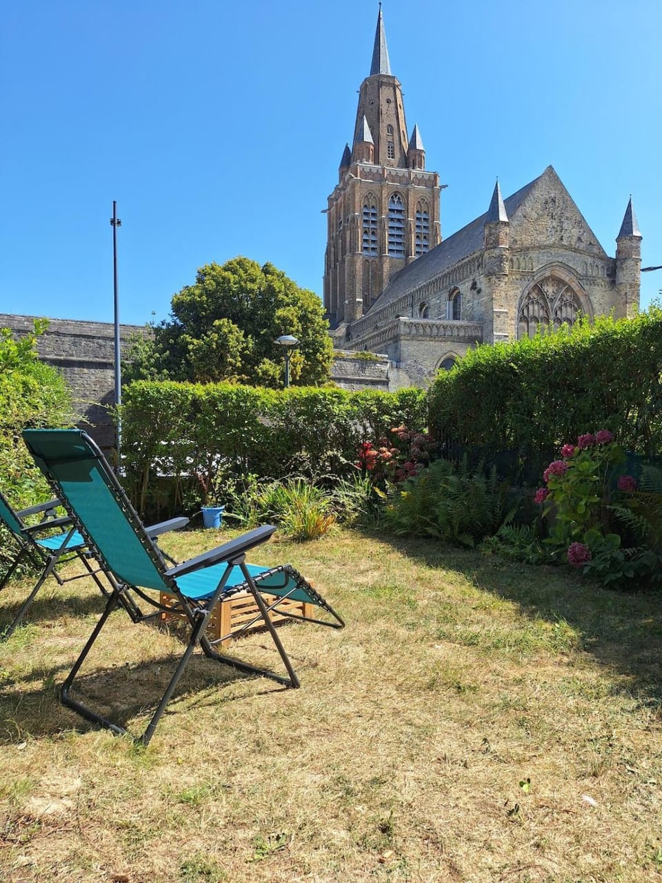 Garden, Garden view, sunbed