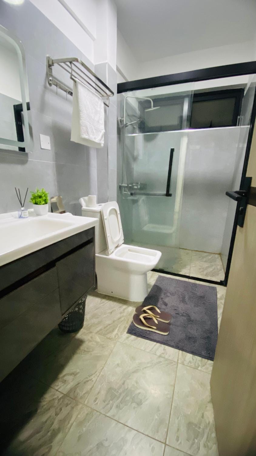 Toilet, Bathroom