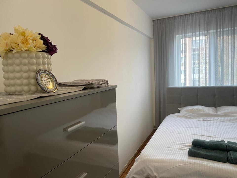 Apartamentul lui Radu Apartment in Romania