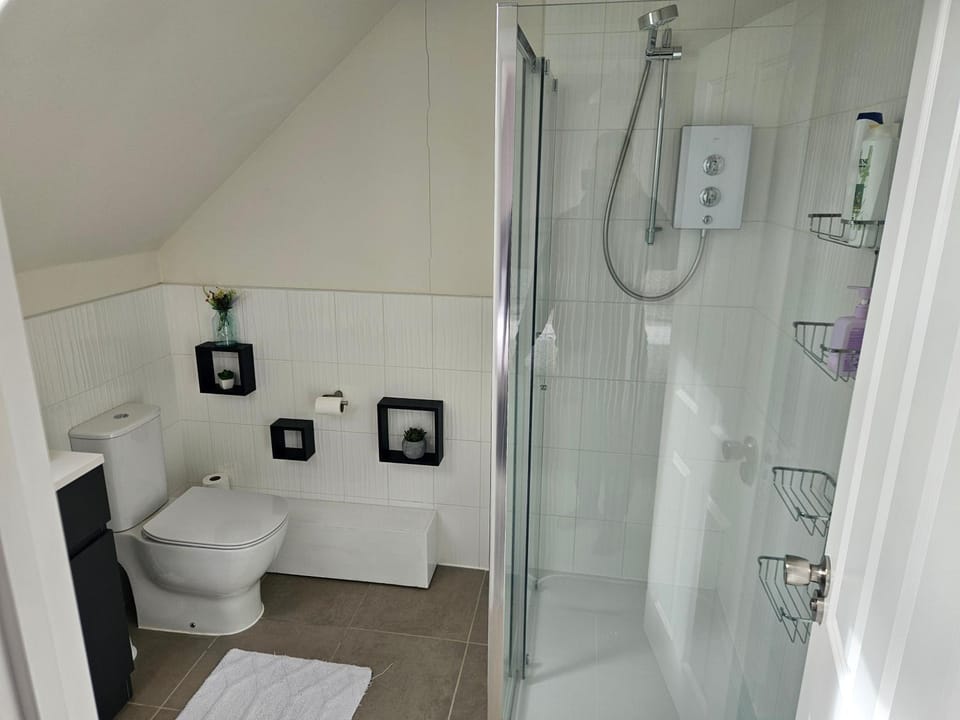 Shower, Toilet, towels