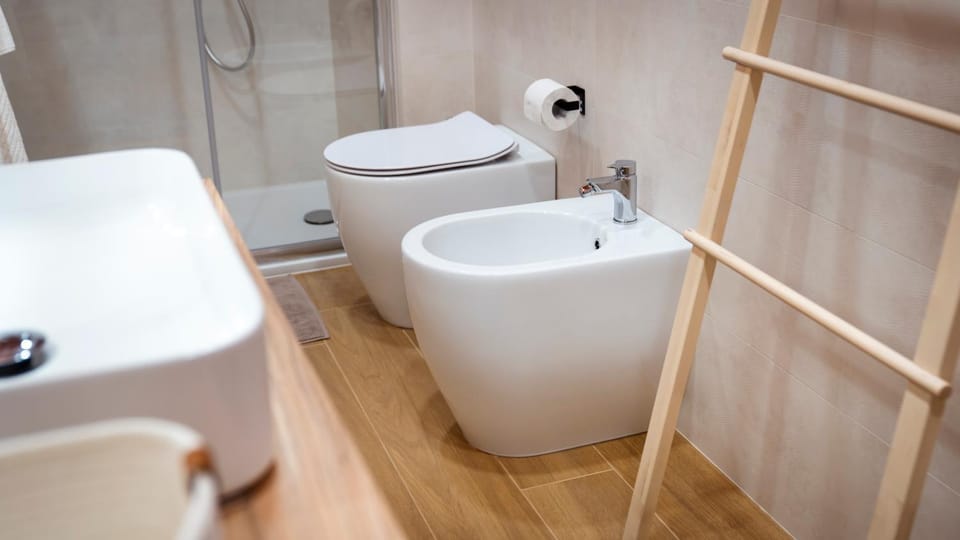 Toilet, Bathroom, bidet