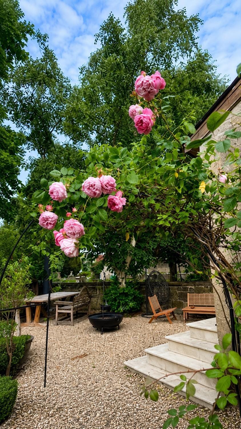 The little Hotel-luxury home House in North Dorset District