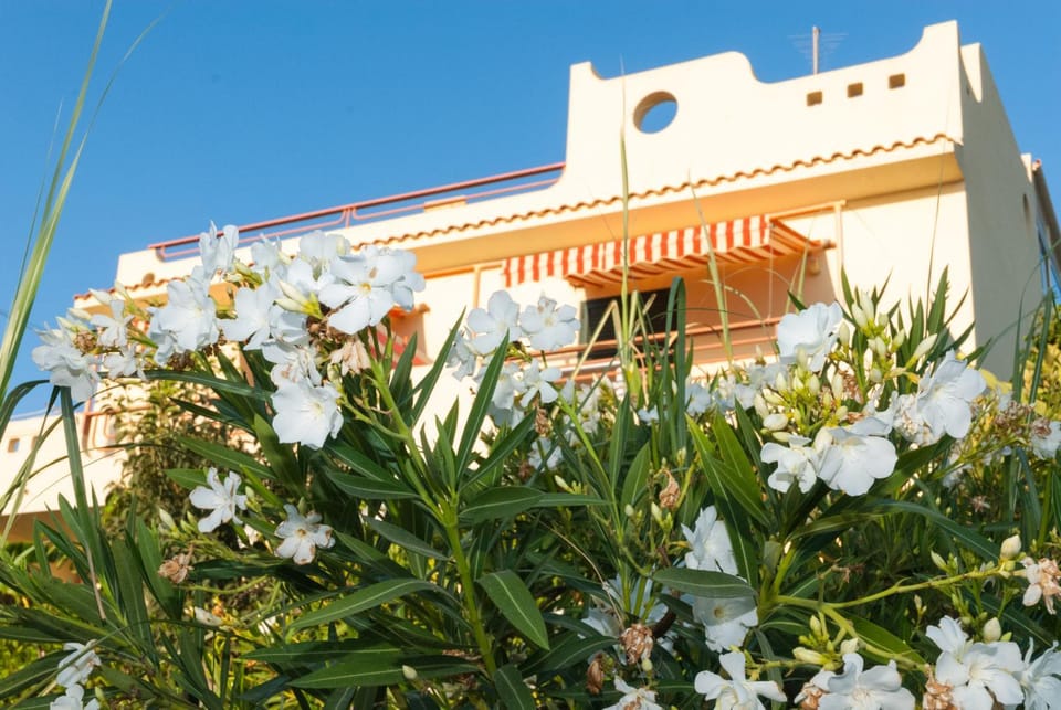 Facade/entrance, Garden, Balcony/Terrace