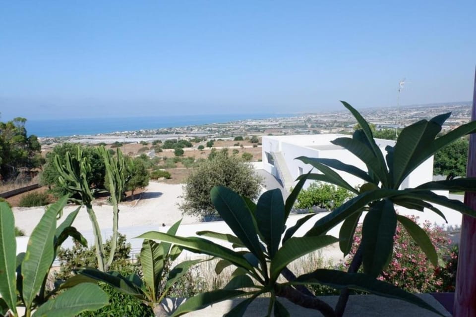 Patio, Garden, Garden view, Sea view