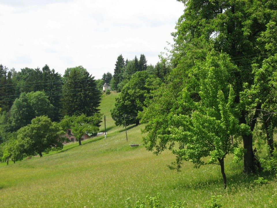 Neighbourhood, Natural landscape