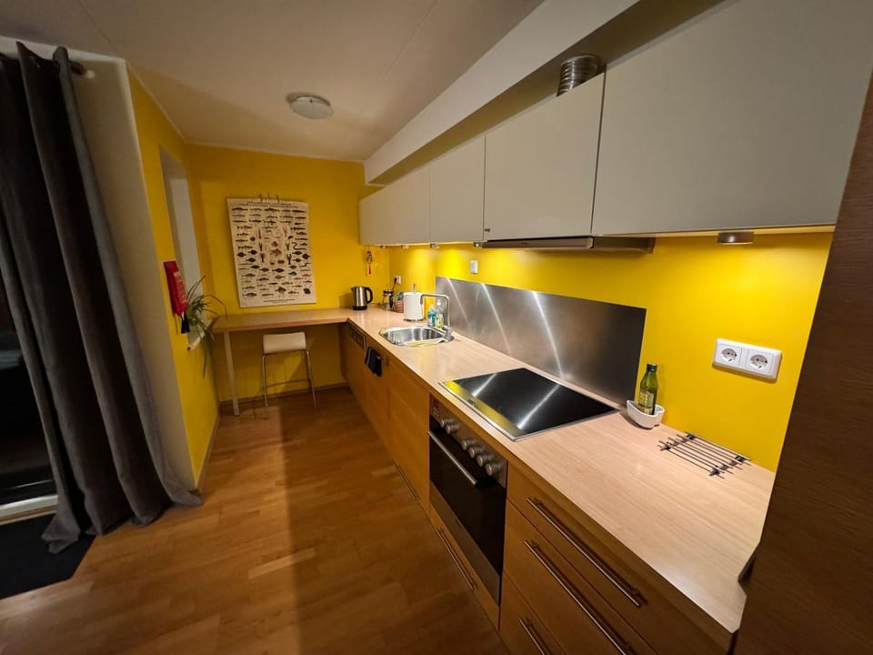 Kitchen or kitchenette, dishwasher, stove