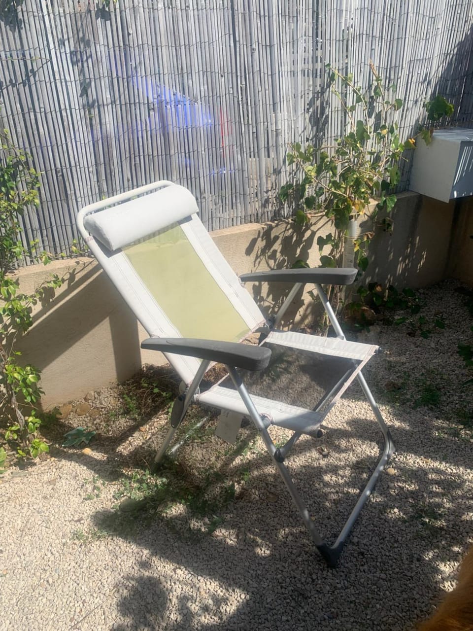 Garden, Garden view, sunbed