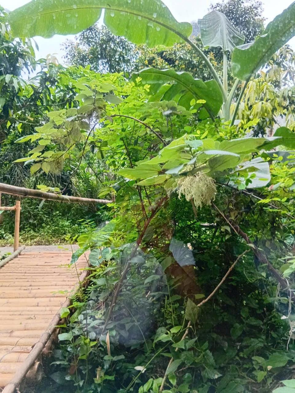 Chezbeo Bungalow Ninh Binh Nature lodge in Laos