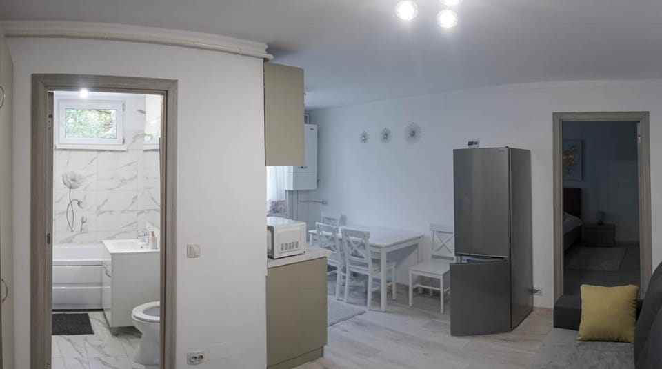 Deluxe studio Apartment in Romania