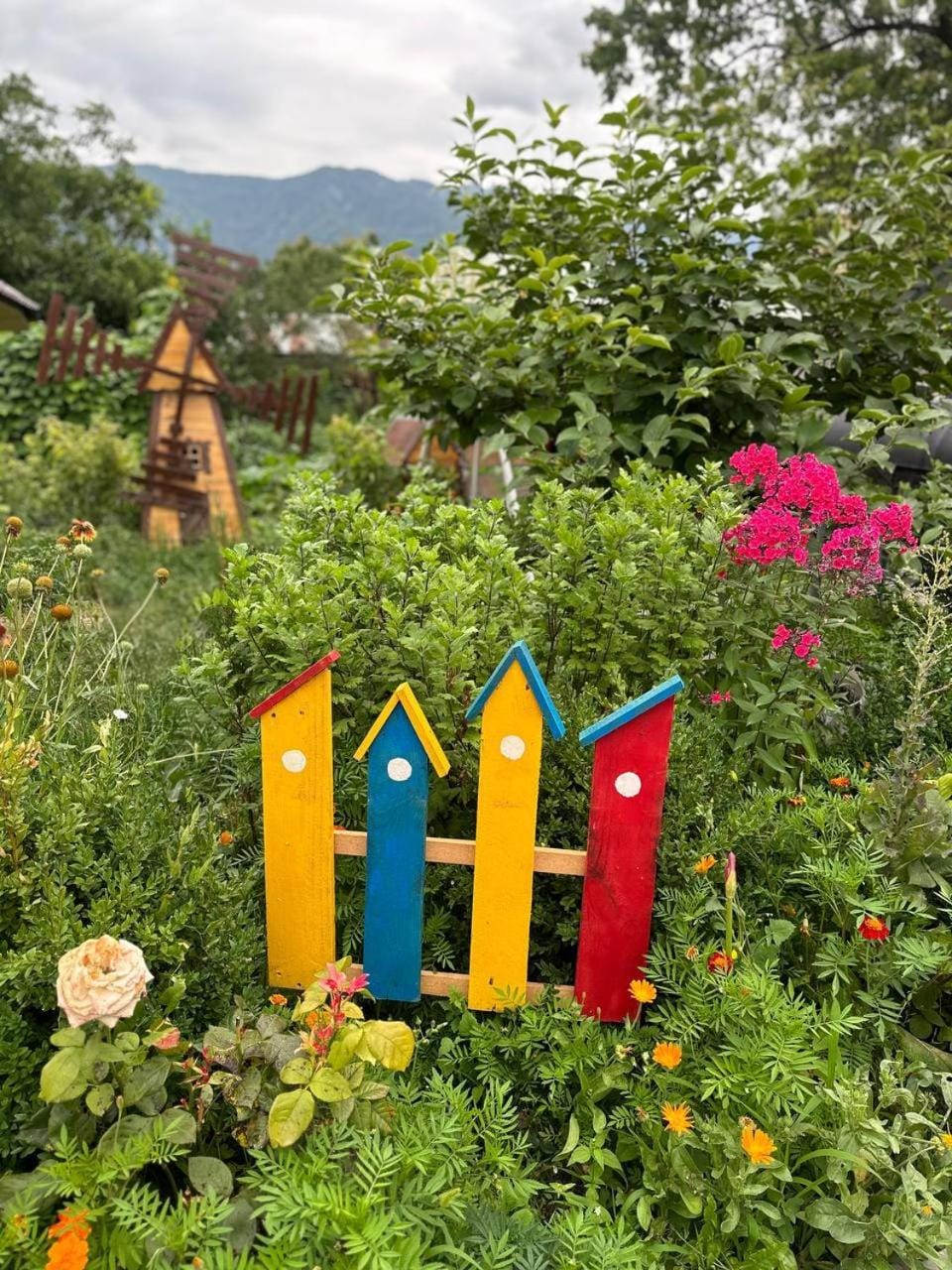 Natural landscape, Garden, Garden view