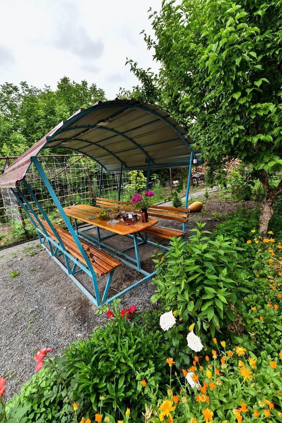 Day, Natural landscape, Garden