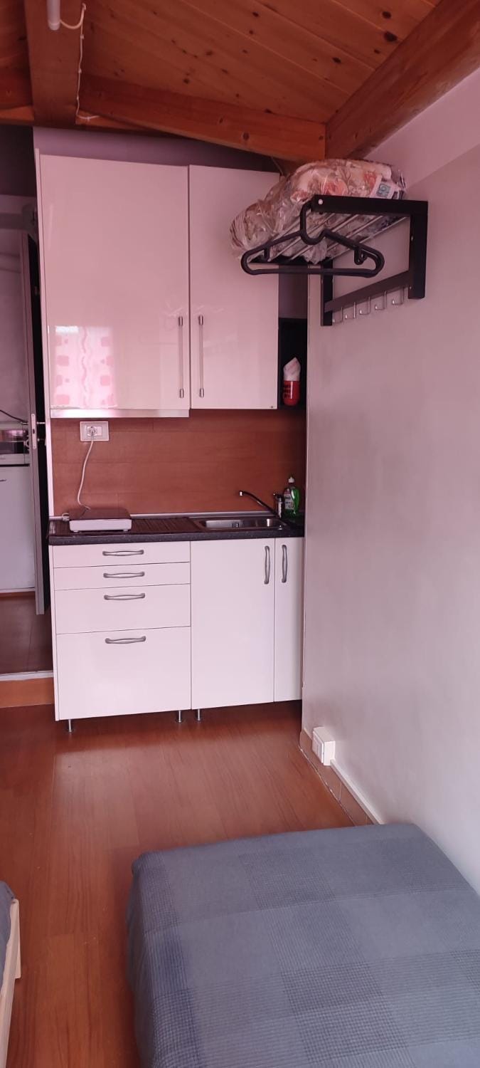 Mansarda Nizza Tre Apartment in Turin