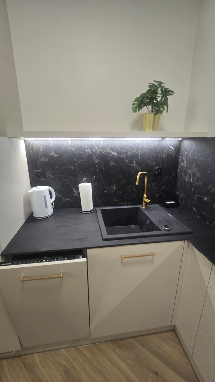 Kitchen or kitchenette, dishwasher