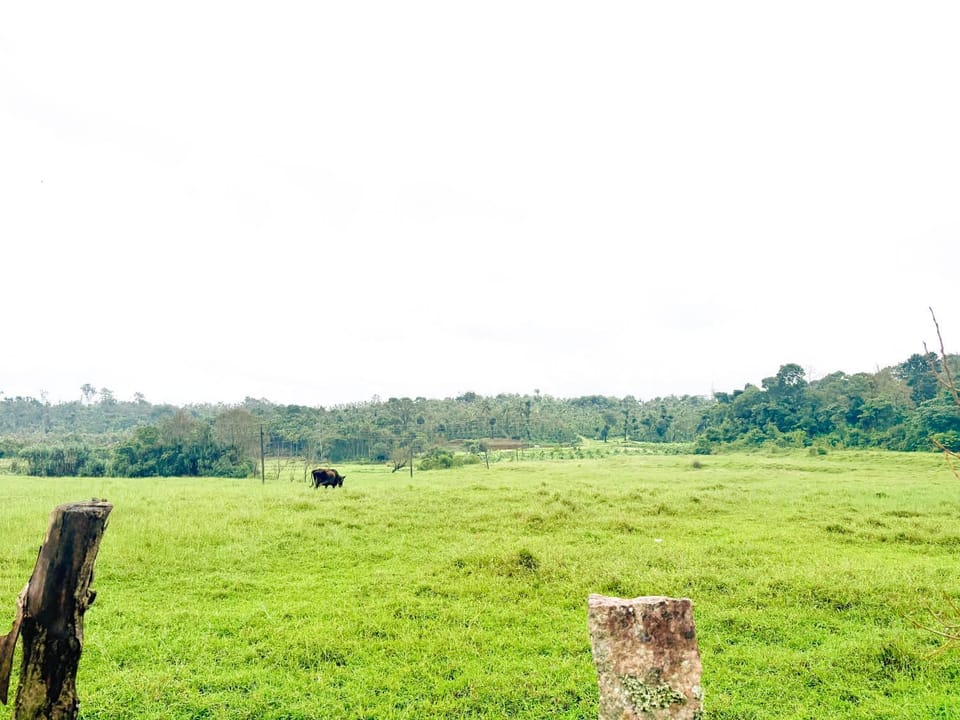 Swasthiks Home stay House in Karnataka